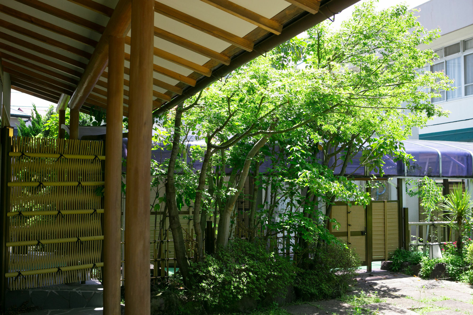 Hotel Yugawara-Onsen Manyoso Esterno foto