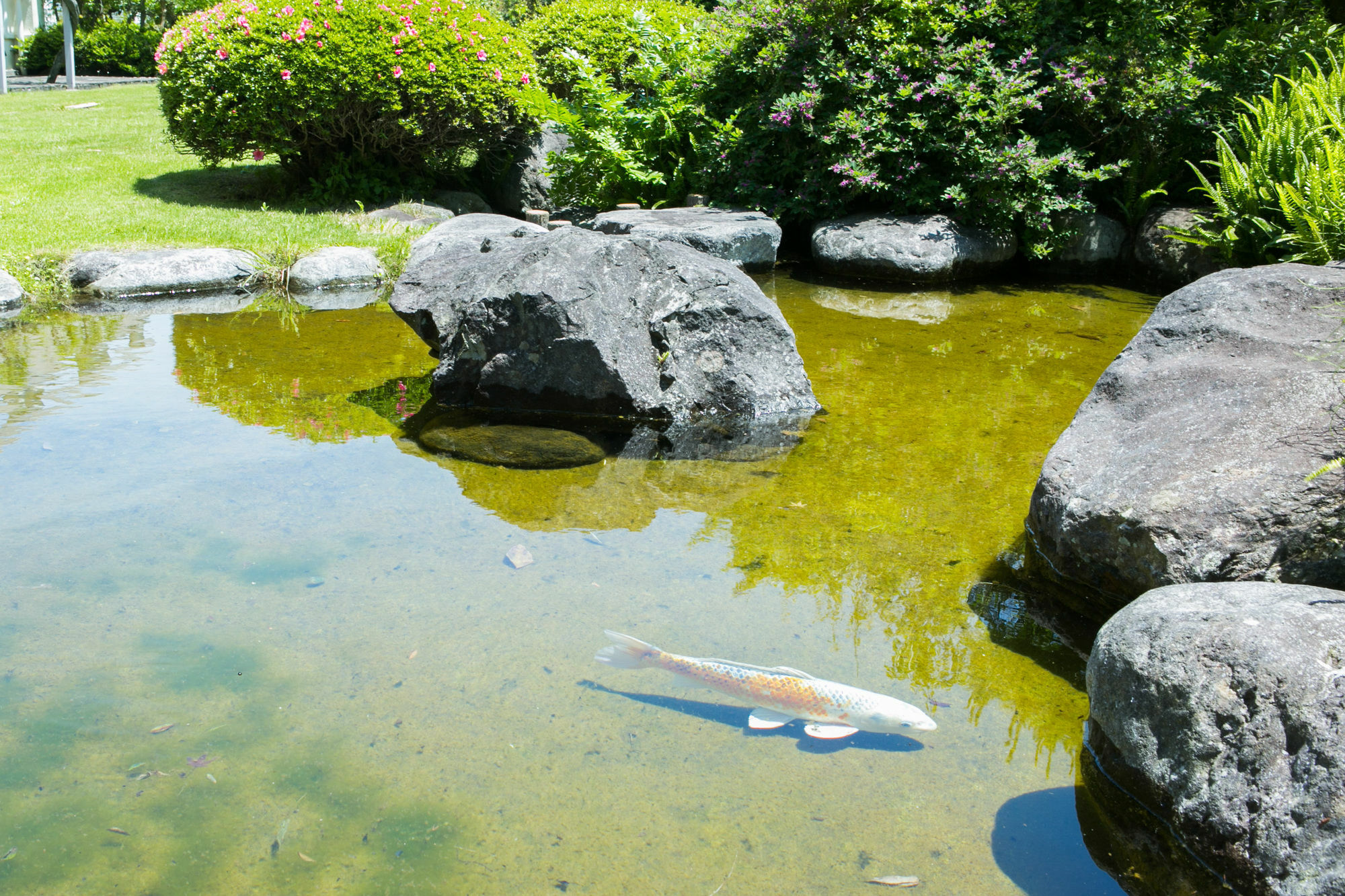 Hotel Yugawara-Onsen Manyoso Esterno foto